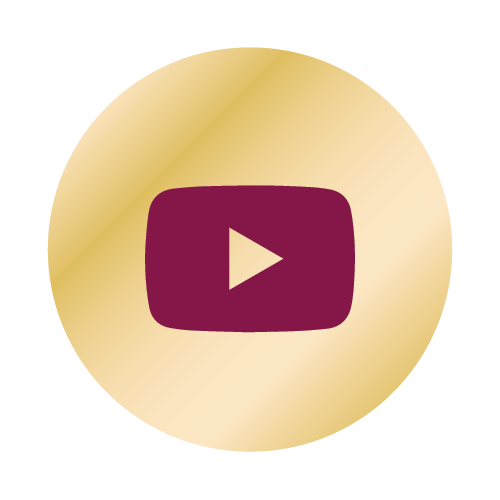 promil youtube