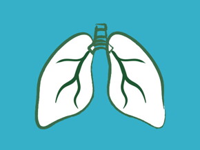 LUNGS