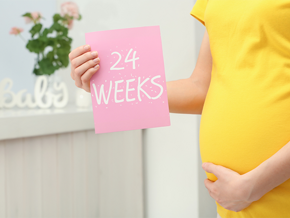 A cropped photo of 24 weeks pregnant Asian woman holding a card with the text 24 WEEKS near her belly A cropped photo of 24 weeks pregnant Asian woman holding a card with the text 24 WEEKS near her belly