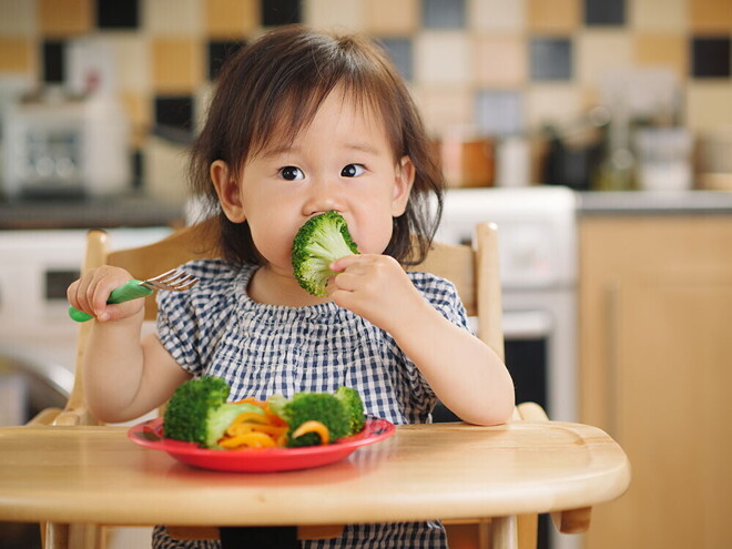 5 of The Best Brain Nutrition Tips for Your 1 Year Old’s Developing Brain