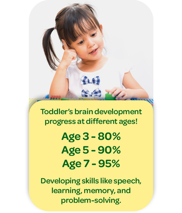 Toddler’s brain development progress at different ages! Age 3 - 80% Age 5 - 90% Age 7 - 95% Developing skills like speech, learning, memory, and problem-solving.