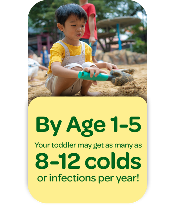 By Age 1-5 Your toddler may get as many as  8-12 colds or infections per year!