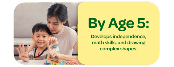 By Age 5: Develops independence, math skills, and drawing complex shapes.