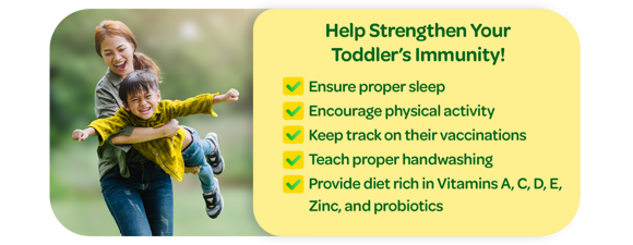 Help Strengthen Your Toddler’s Immunity!