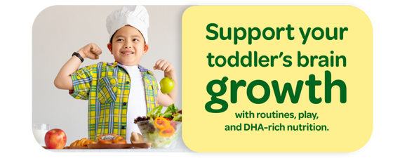 Support your toddler’s brain growth with routines, play, and DHA-rich nutrition.