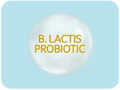 B. LACTIS PROBIOTIC